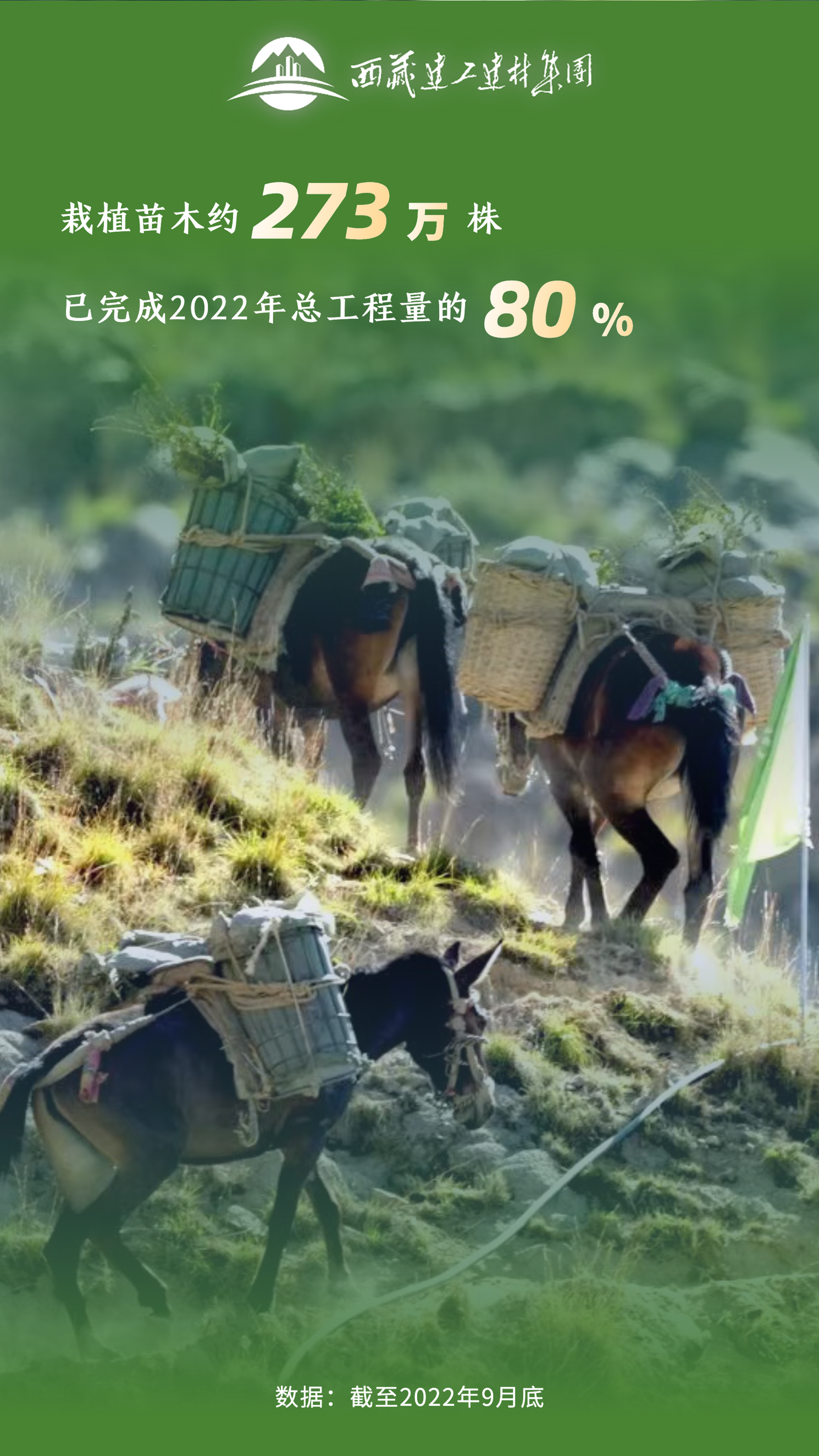 胜天国际-科技赋能场景,让娱乐更有趣!
